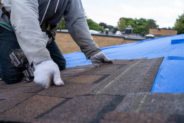 Roofing repair and installation